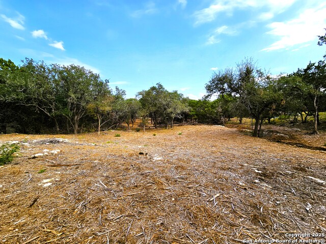 Image 9 of 14 For 30806 Bulverde Hills