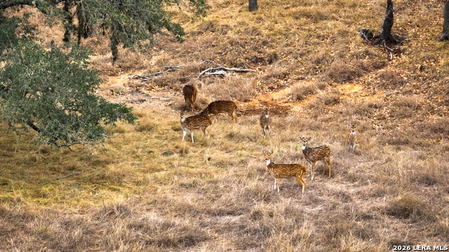 Image 10 of 26 For 455 Hubble  