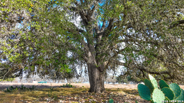 Image 12 of 26 For 455 Hubble  