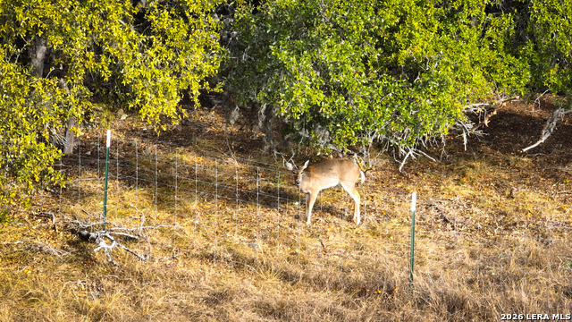 Image 13 of 26 For 455 Hubble  