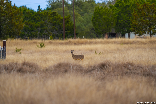 Image 14 of 26 For 455 Hubble  