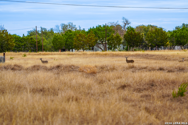 Image 15 of 26 For 455 Hubble  