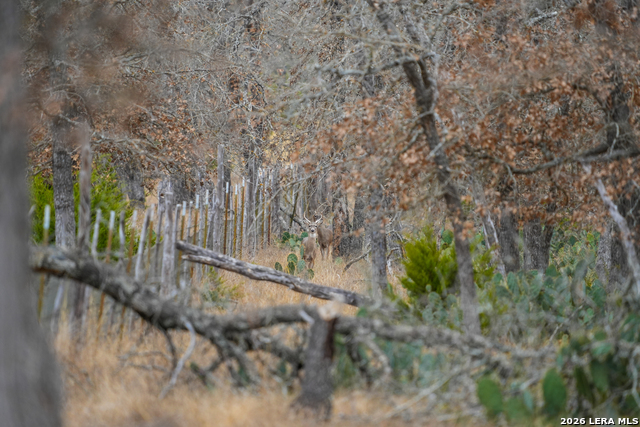 Image 22 of 26 For 455 Hubble  