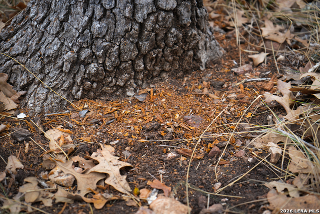 Image 25 of 26 For 455 Hubble  