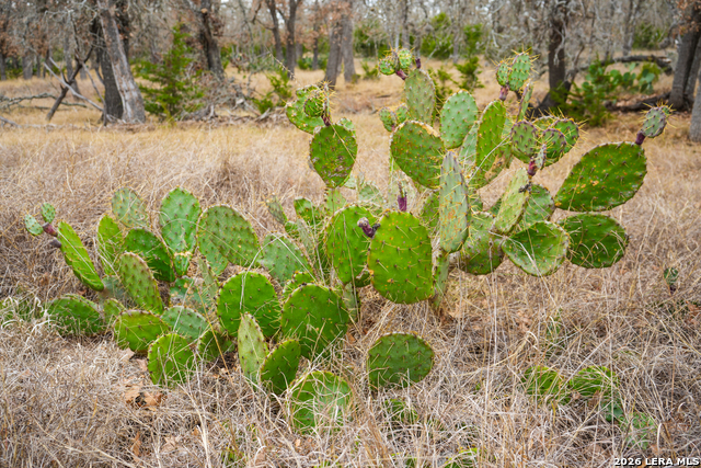 Image 26 of 26 For 455 Hubble  