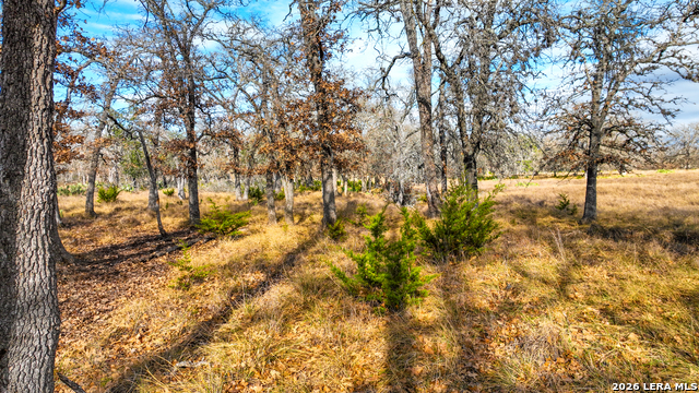 Image 6 of 26 For 455 Hubble  