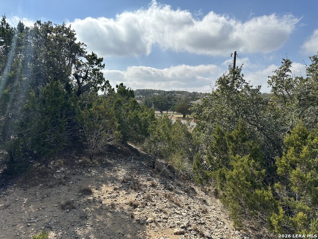 Image 3 of 4 For 27110 Bumble Bee