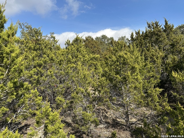 Image 4 of 4 For 27110 Bumble Bee