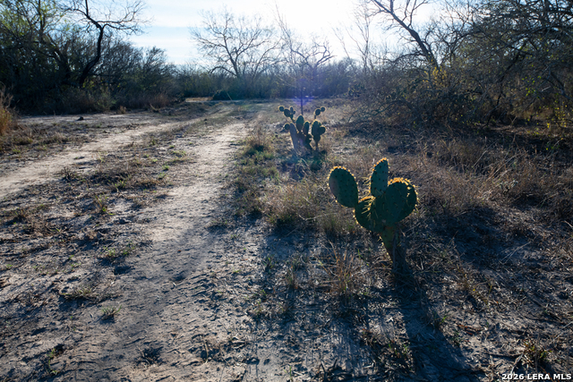 Image 10 of 50 For Tbd E Fm 71  