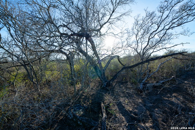 Image 13 of 50 For Tbd E Fm 71  