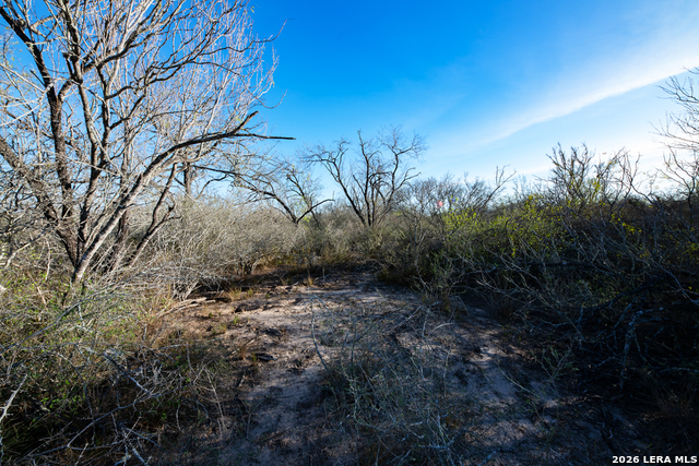 Image 14 of 50 For Tbd E Fm 71  