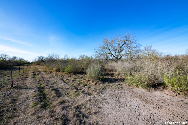 Image 16 of 50 For Tbd E Fm 71  