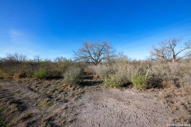 Image 17 of 50 For Tbd E Fm 71  