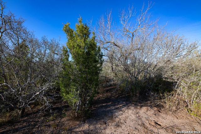 Image 19 of 50 For Tbd E Fm 71  