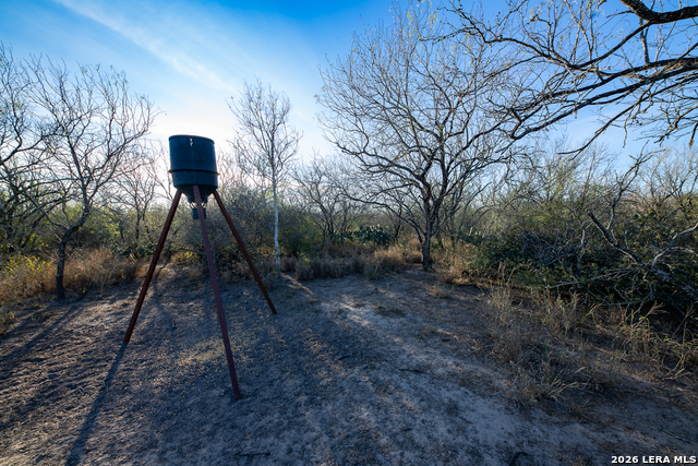 Image 2 of 50 For Tbd E Fm 71  