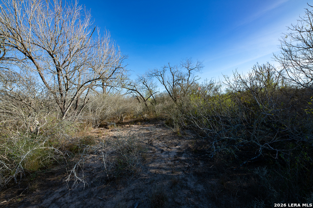 Image 20 of 50 For Tbd E Fm 71  