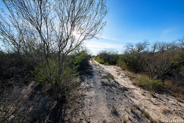 Image 21 of 50 For Tbd E Fm 71  