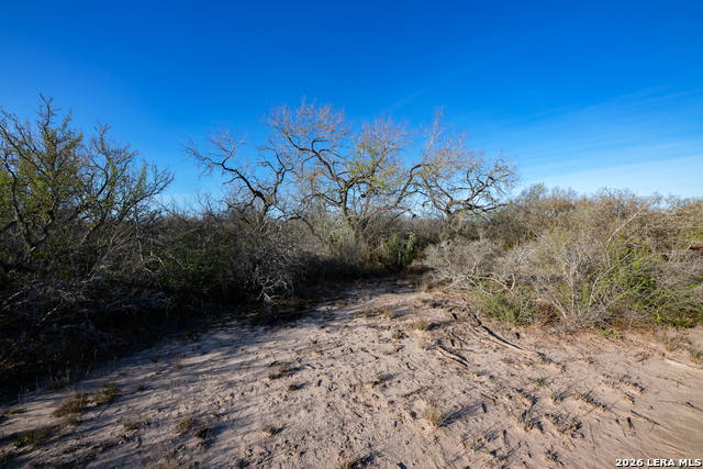 Image 22 of 50 For Tbd E Fm 71  