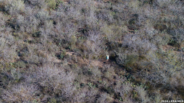 Image 35 of 50 For Tbd E Fm 71  