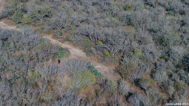 Image 49 of 50 For Tbd E Fm 71  