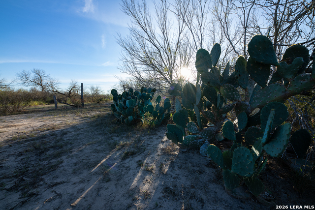 Image 5 of 50 For Tbd E Fm 71  