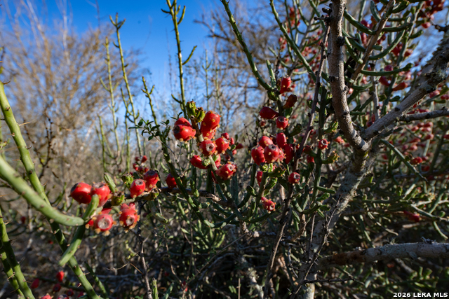 Image 6 of 50 For Tbd E Fm 71  