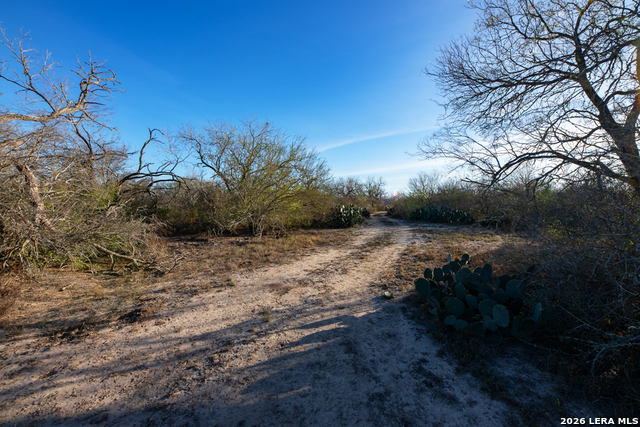 Image 7 of 50 For Tbd E Fm 71  