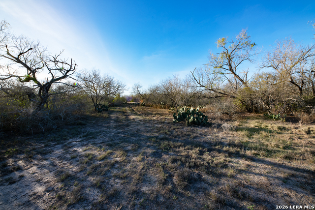 Image 8 of 50 For Tbd E Fm 71  