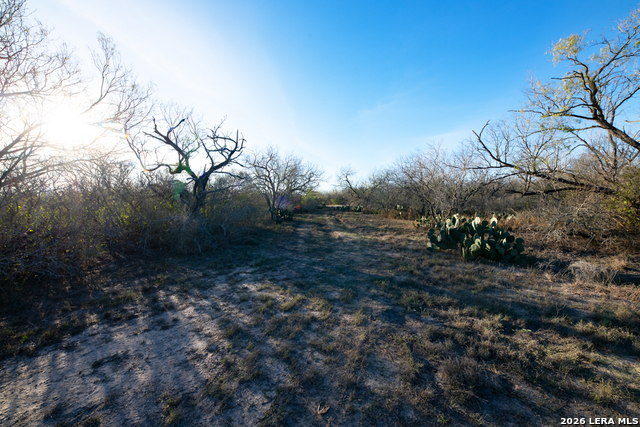 Image 9 of 50 For Tbd E Fm 71  