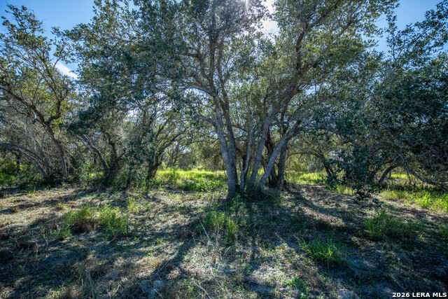 Image 31 of 45 For 504 Shaver Rd