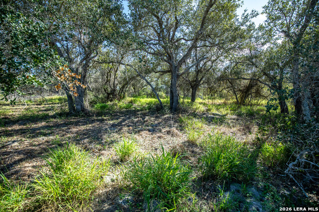 Image 32 of 45 For 504 Shaver Rd