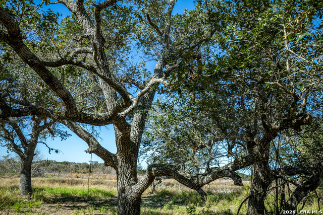 Image 36 of 45 For 504 Shaver Rd