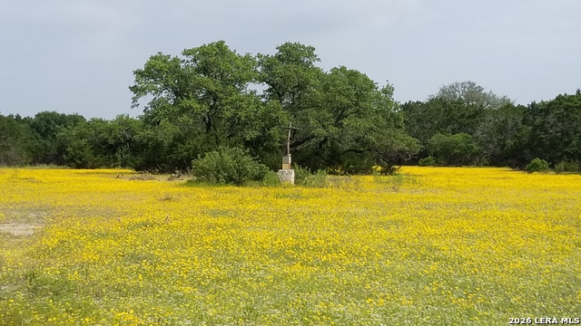 Details for 1263 Agaritaville, Spring Branch, TX 78070