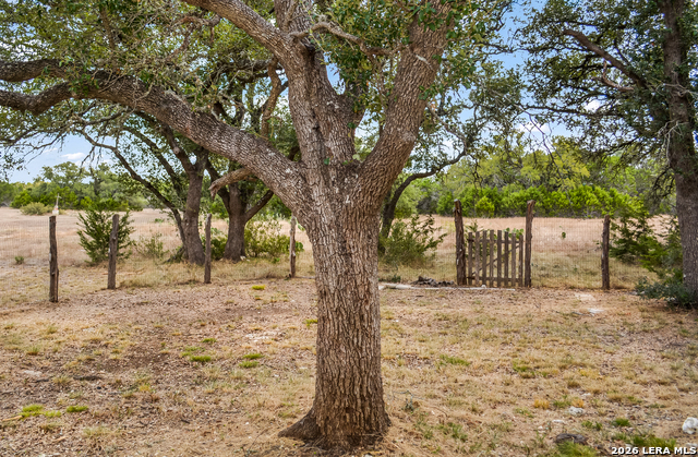 Image 17 of 24 For 1263 Agaritaville