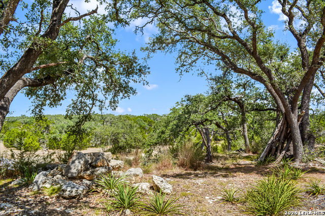 Image 18 of 24 For 1263 Agaritaville