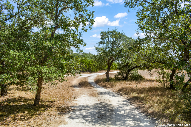 Image 21 of 24 For 1263 Agaritaville