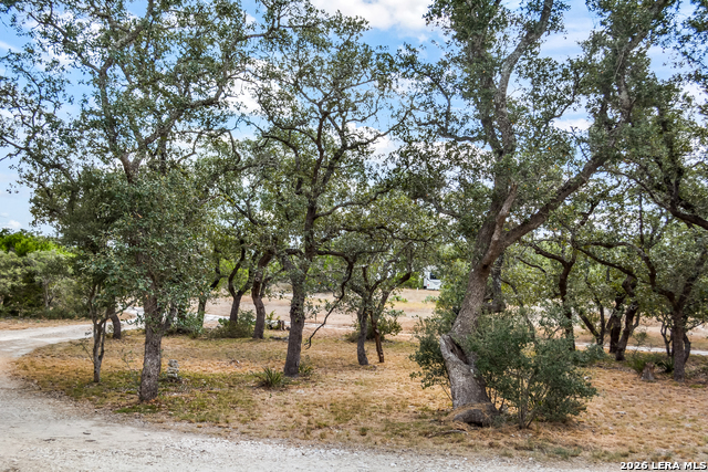 Image 22 of 24 For 1263 Agaritaville