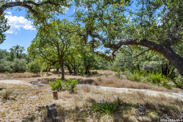 Image 24 of 24 For 1263 Agaritaville