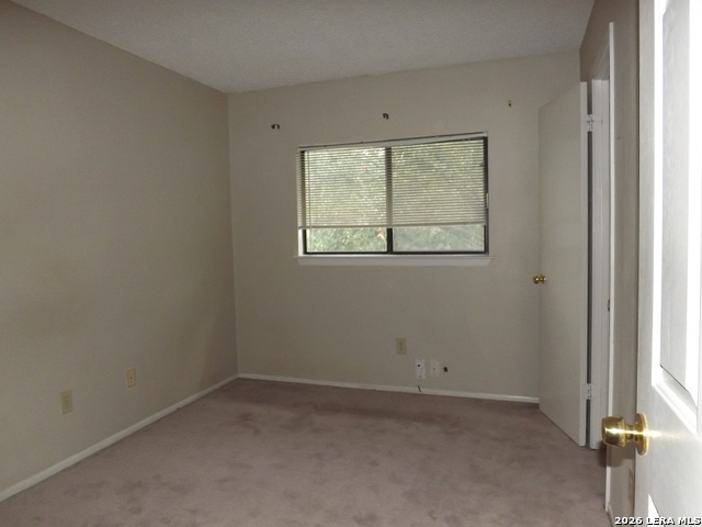 Image 20 of 26 For 4714 Ironweed