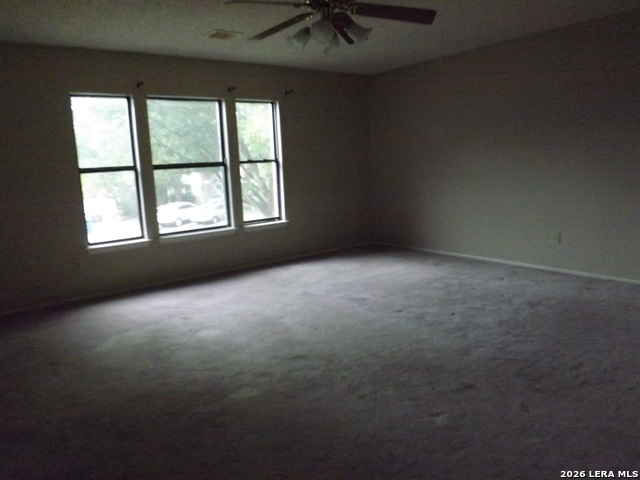 Image 23 of 26 For 4714 Ironweed