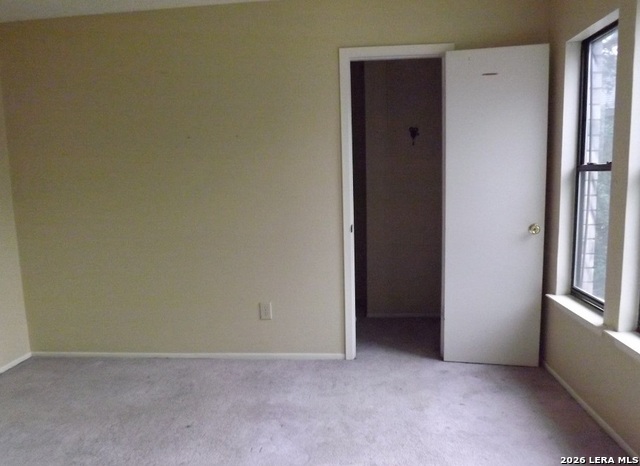 Image 25 of 26 For 4714 Ironweed