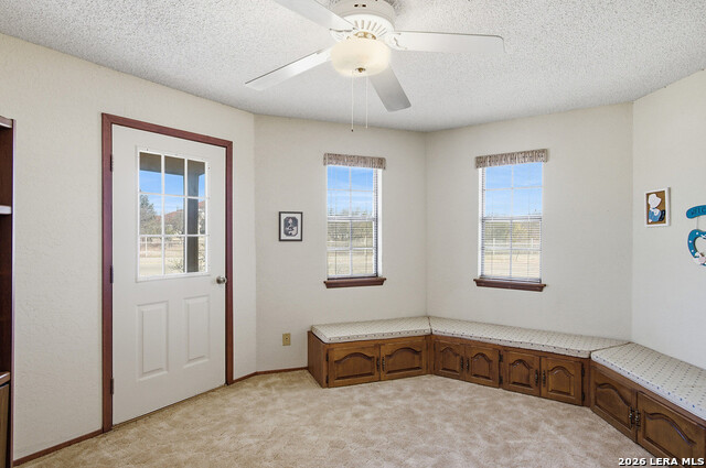 Listing photo id 24 for 126 Packsaddle Circle