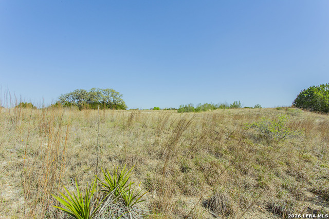 Image 5 of 25 For 252 River Cliff