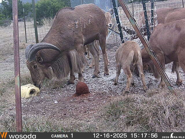 Image 12 of 41 For 884 Sd 16010