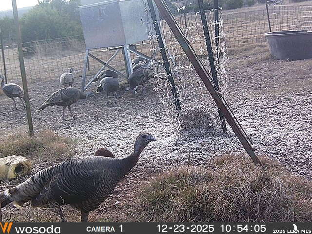 Image 13 of 41 For 884 Sd 16010