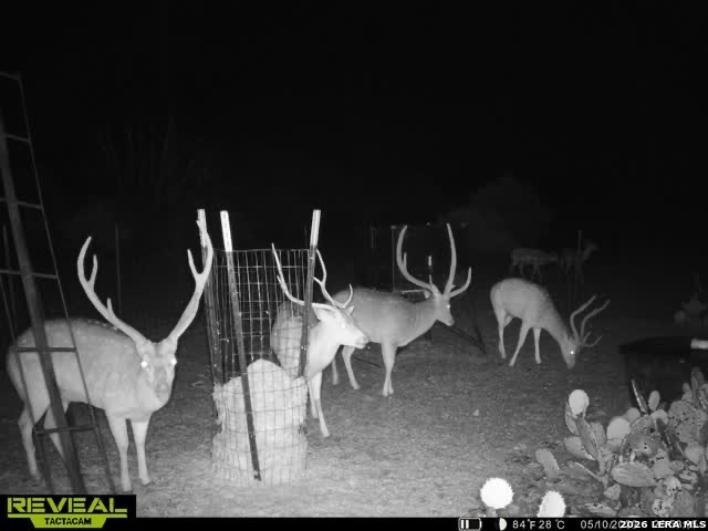 Image 14 of 41 For 884 Sd 16010