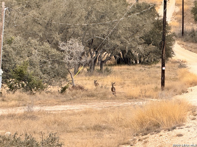 Image 17 of 41 For 884 Sd 16010