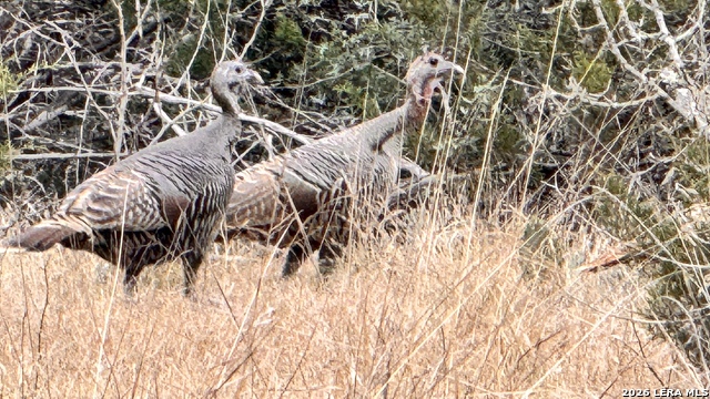 Image 2 of 41 For 884 Sd 16010