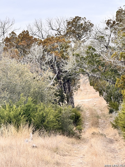 Image 31 of 41 For 884 Sd 16010