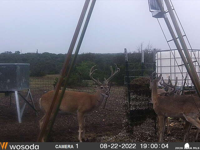 Image 6 of 41 For 884 Sd 16010